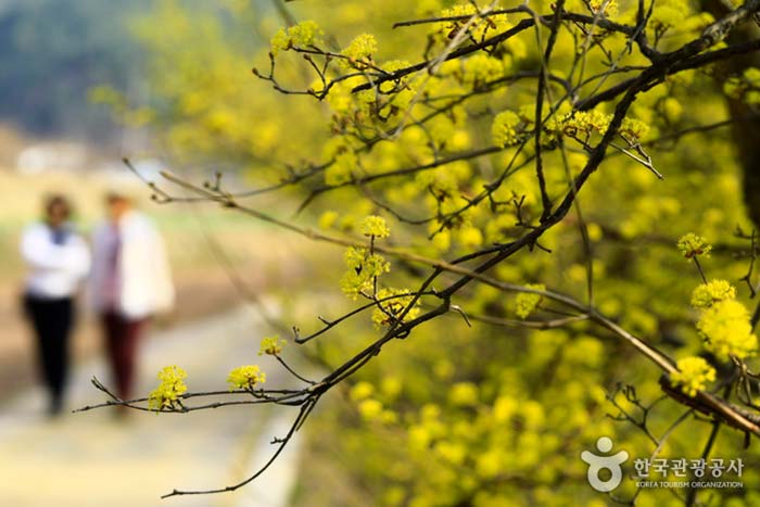 의성 가볼만한곳 베스트10