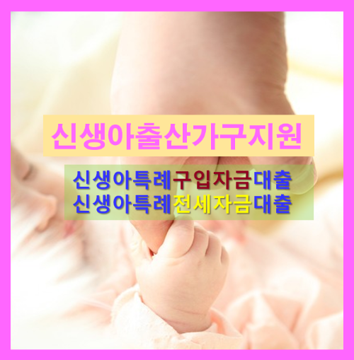 신생아특례구입자금대출전세자금대출