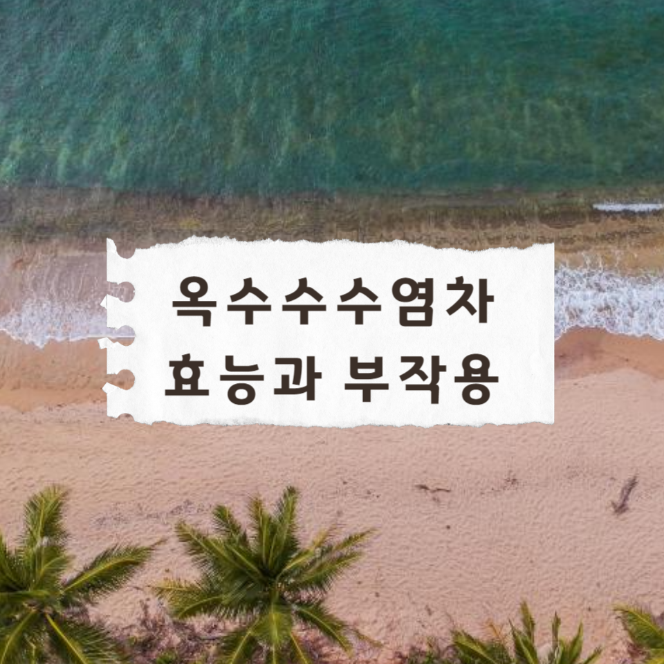 옥수수-수염차-효능과-부작용,만드는-방법-총정리