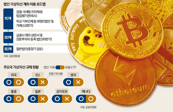 한경_한국판스트래티지_법인가상자산투자_가상자산_코인