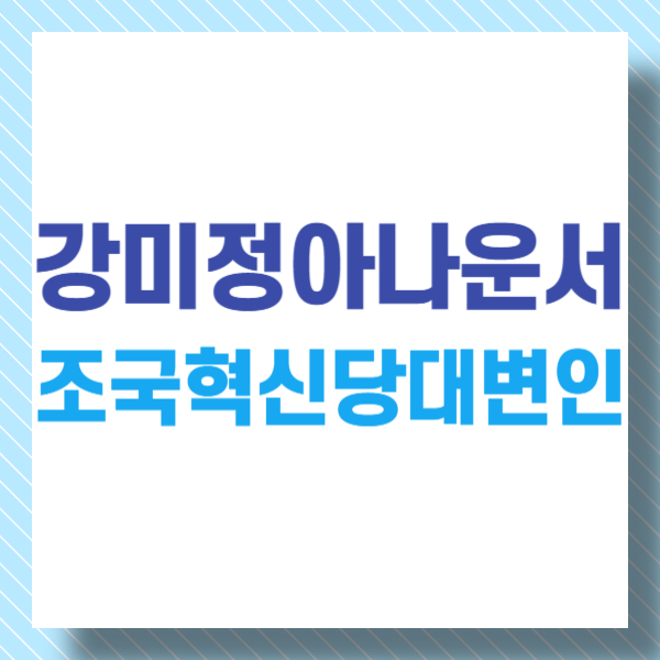 강미정 아나운서 조국혁신당 대변인