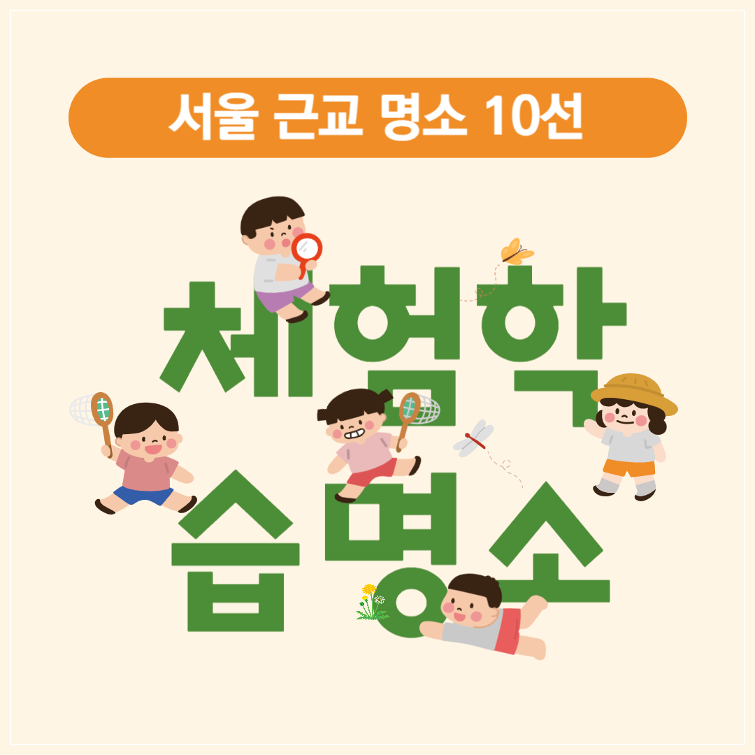 아이와 함께 떠나는 주말 여행! 서울 근교 체험 학습 명소 10선 썸네일