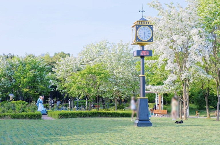 몽마르트르공원 이미지