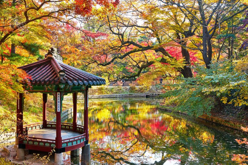 창덕궁 비원