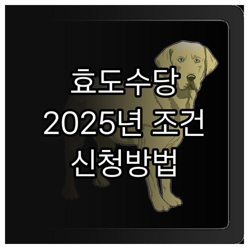 익산시 효도수당 2025년 4세대 가..