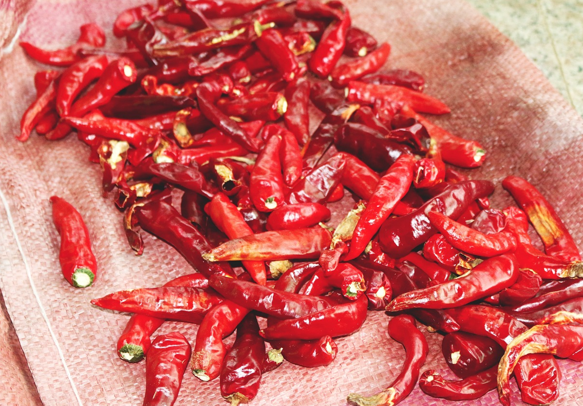 2024 추석연휴 CJ택배 마감 일정