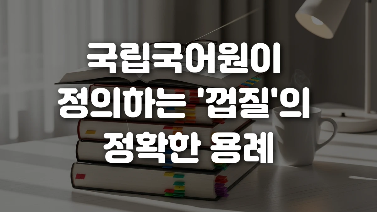 국립국어원이 정의하는 껍질 의 정확한 용례