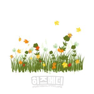 쯔쯔가무시 증상