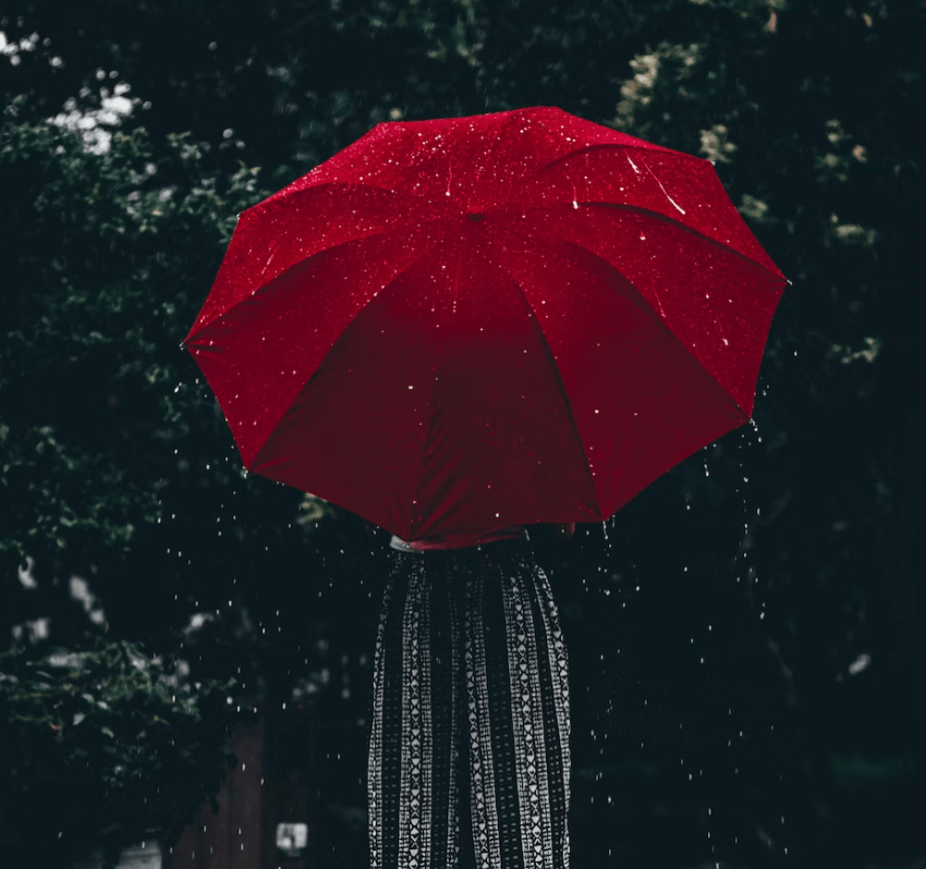 비오는 날과 관련된 오늘의 명언