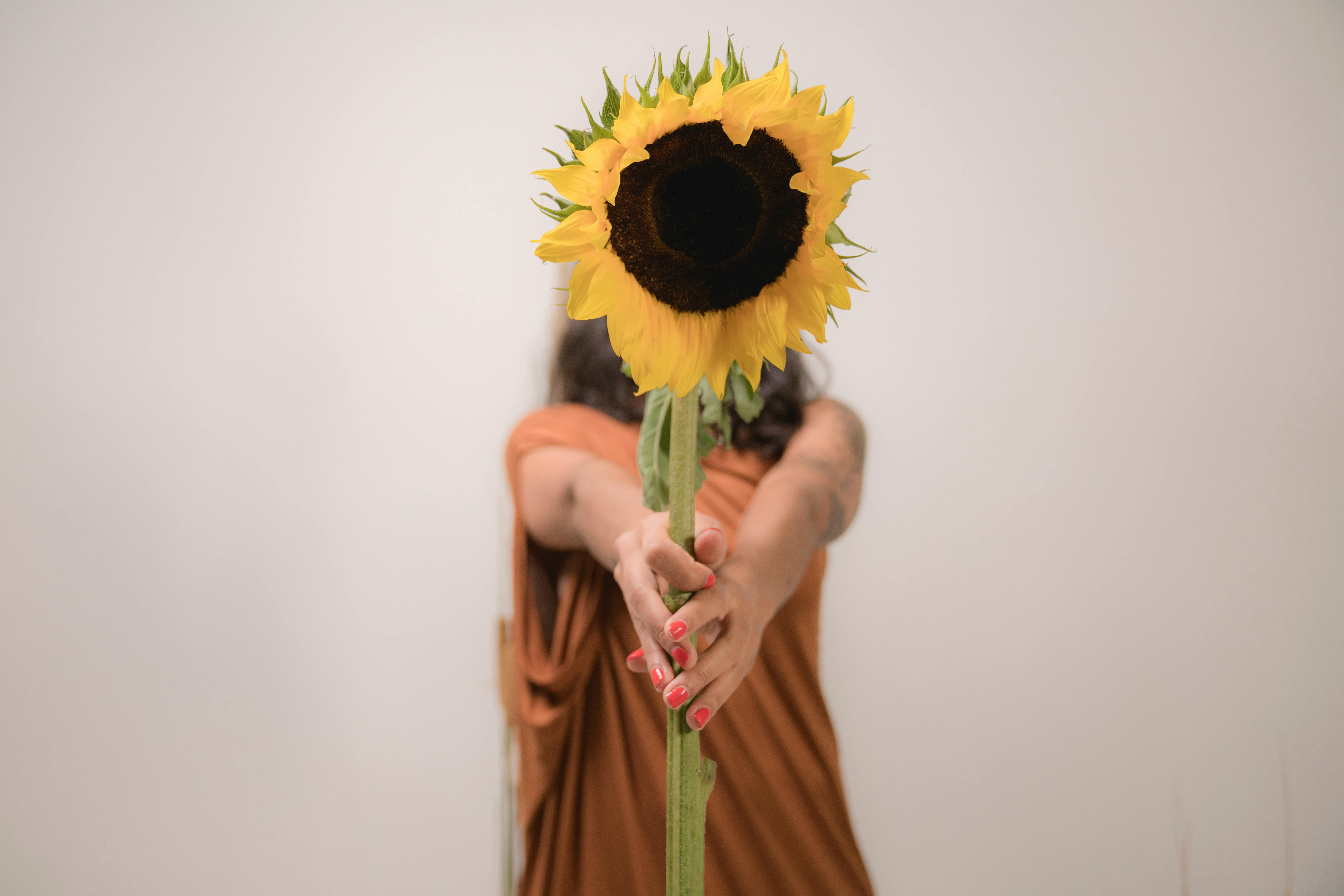 강아지가 무언가를 숨기는을 상징하는 이미지