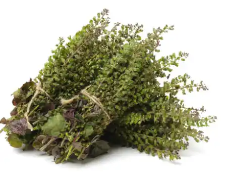 국산 들깨 가격 시세&amp;#44; 효능과 영양성분