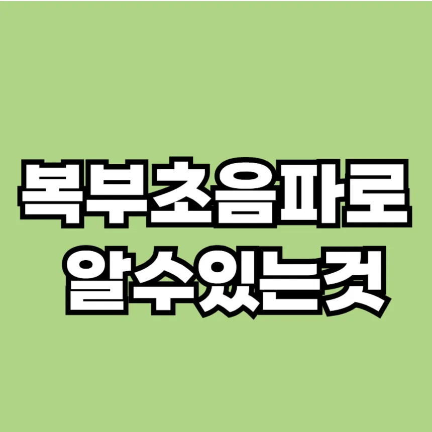 복부 초음파로 알 수 있는 것
