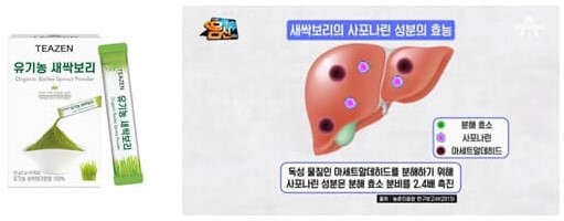 새싹보리 효능-간 기능 개선