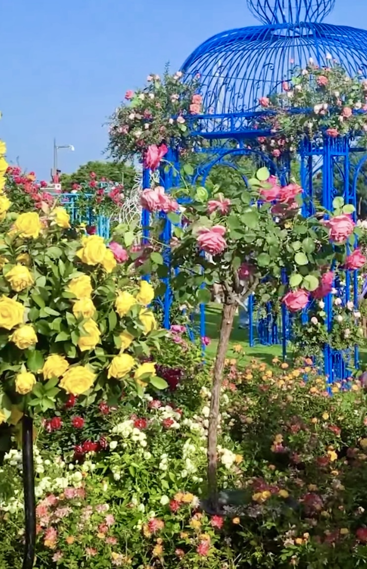 2025 서울국제정원박람회 관련사진