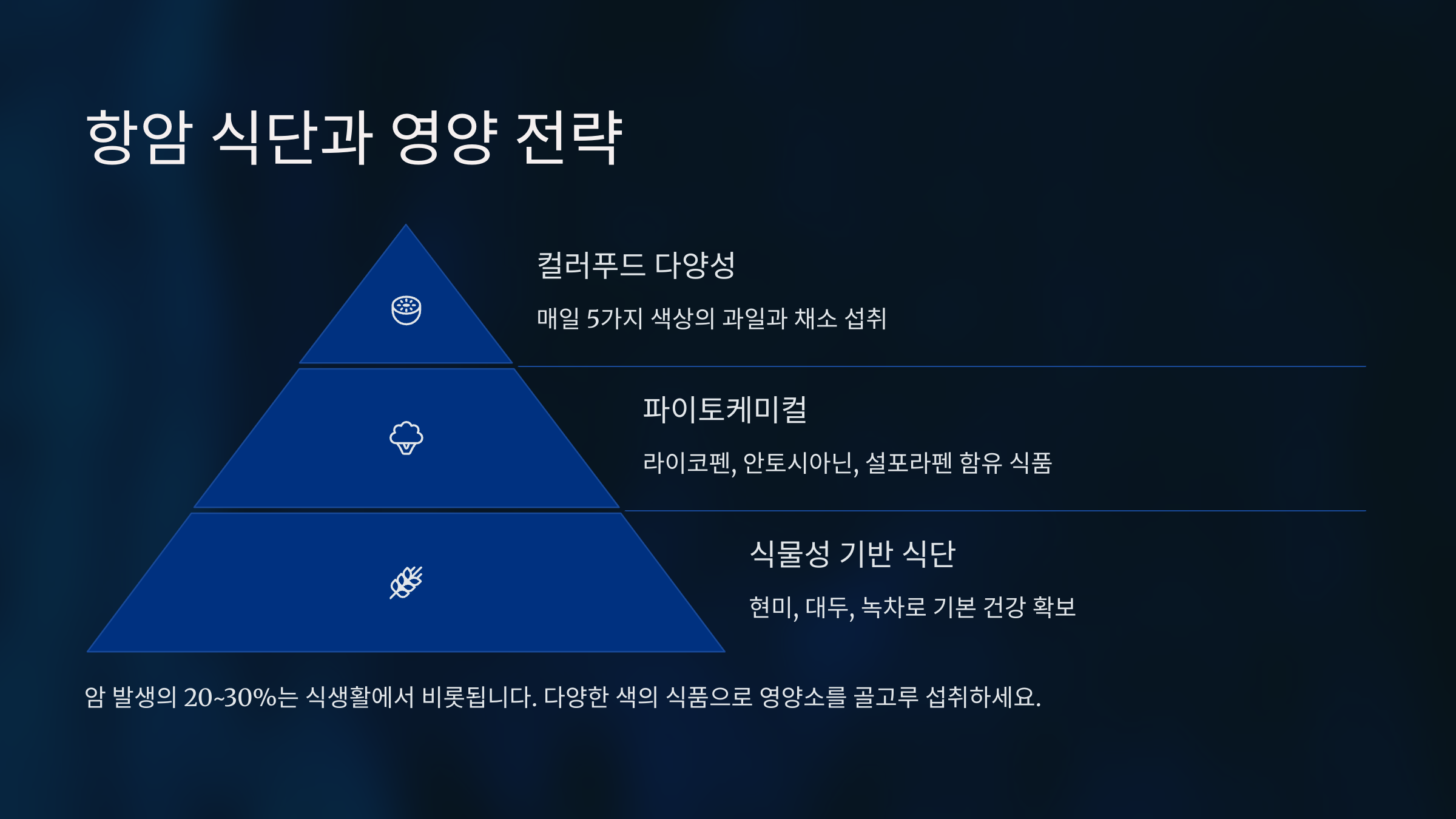 항암 식단과 영양 전략