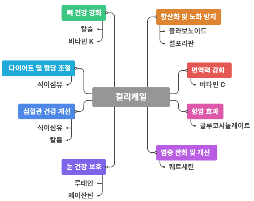 컬리케일 효능
