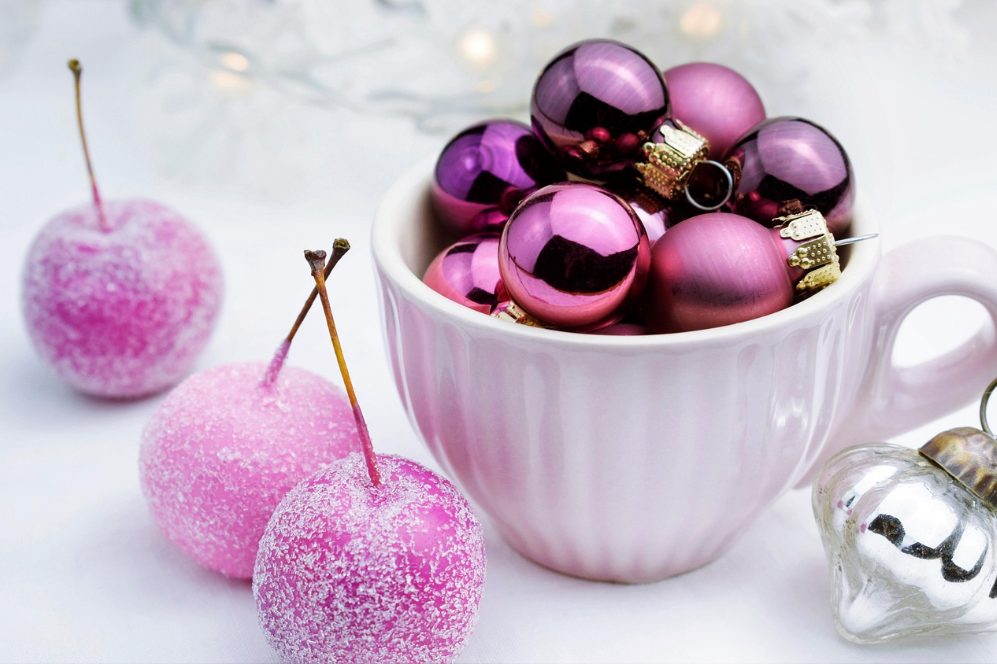 크리스마스 플랜테리어 아이디어 12선