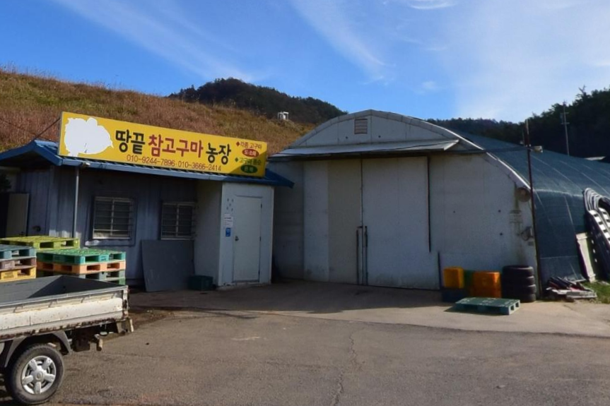 땅끝참고구마농장