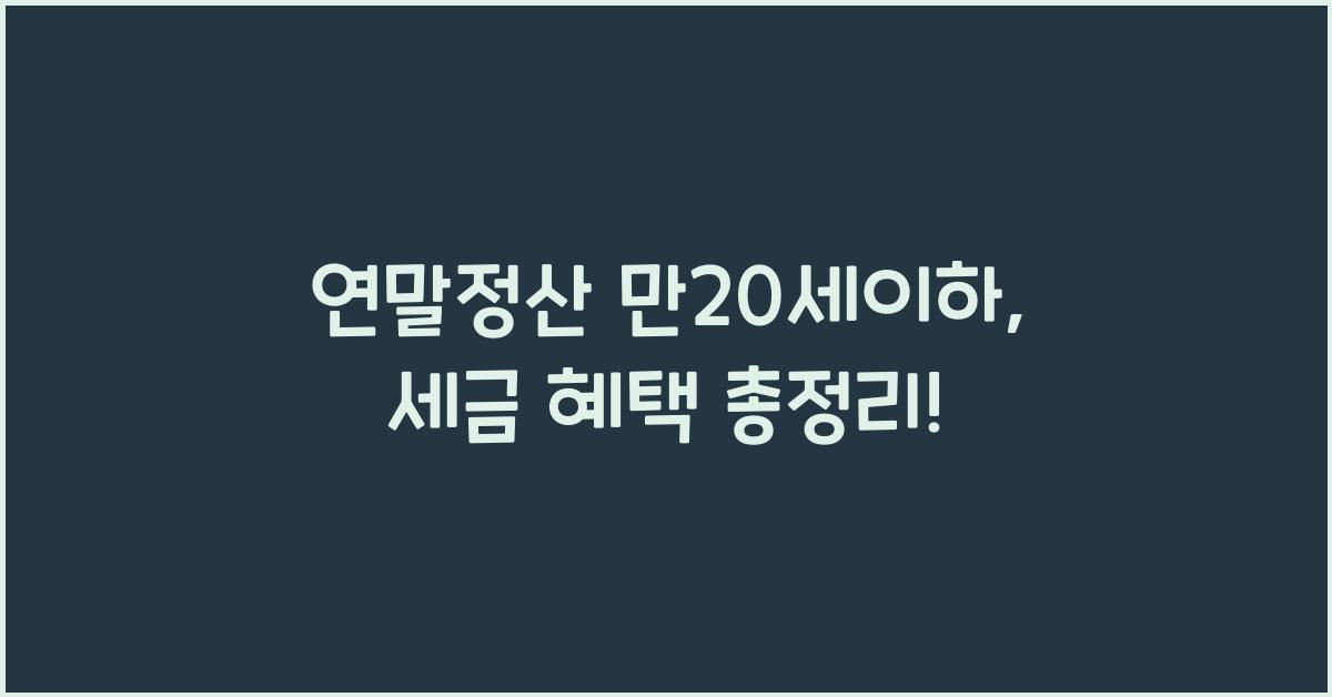 연말정산 만20세이하