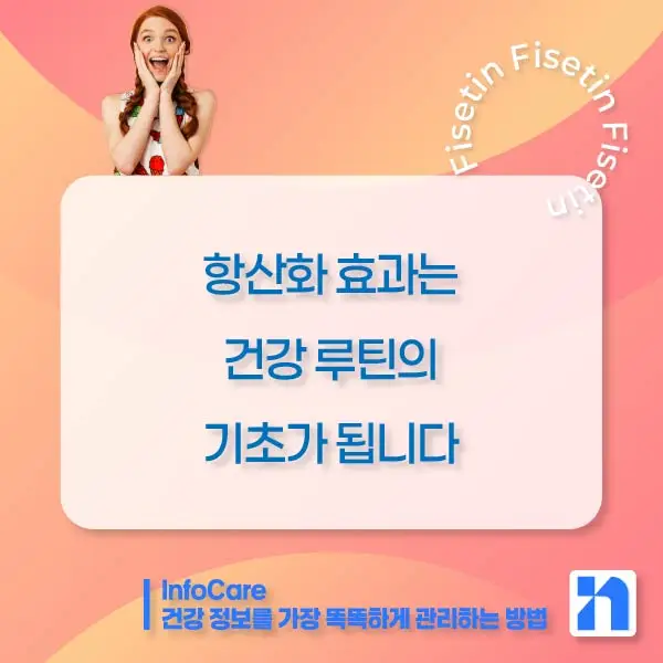 피세틴 효능 항산화 저속노화 노화방지 세놀리틱