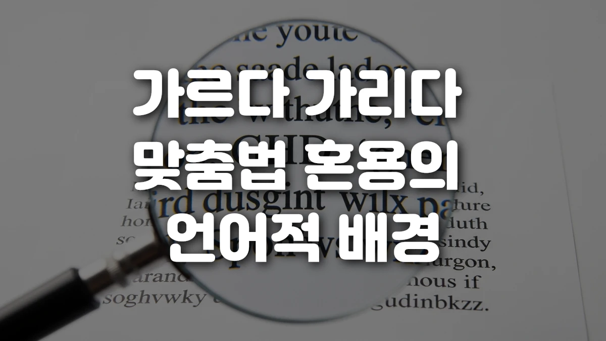 가르다 가리다 맞춤법 혼용의 언어적 배경