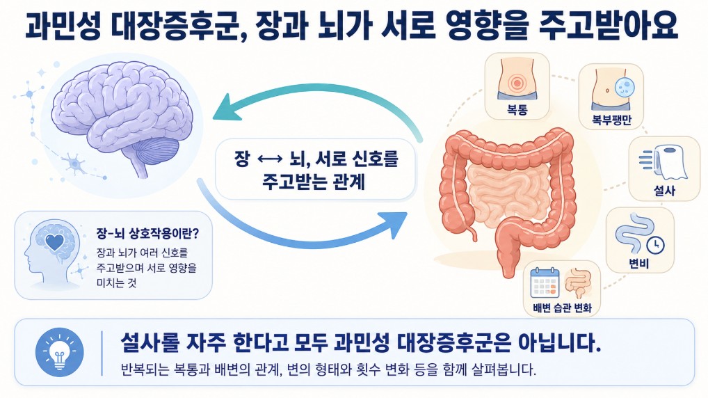 과민성 대장증후군에서 장과 뇌의 상호작용이 복통과 설사 변비 등 배변 변화와 관련될 수 있음을 설명한 이미지