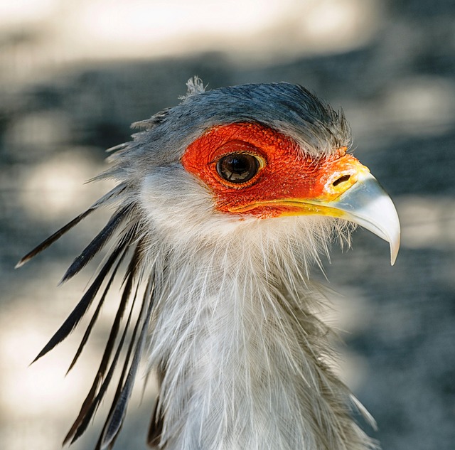 AI기술의 최신동향 (머신러닝, 생성형AI, 챗봇)