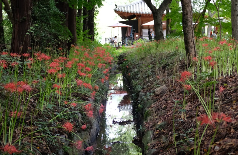 가을 단풍 여행지 추천 탐방로 예약제