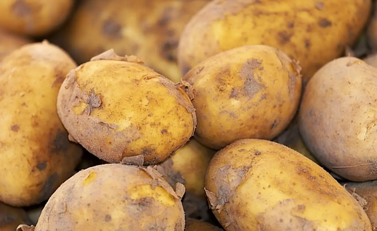 감자 냉동보관법