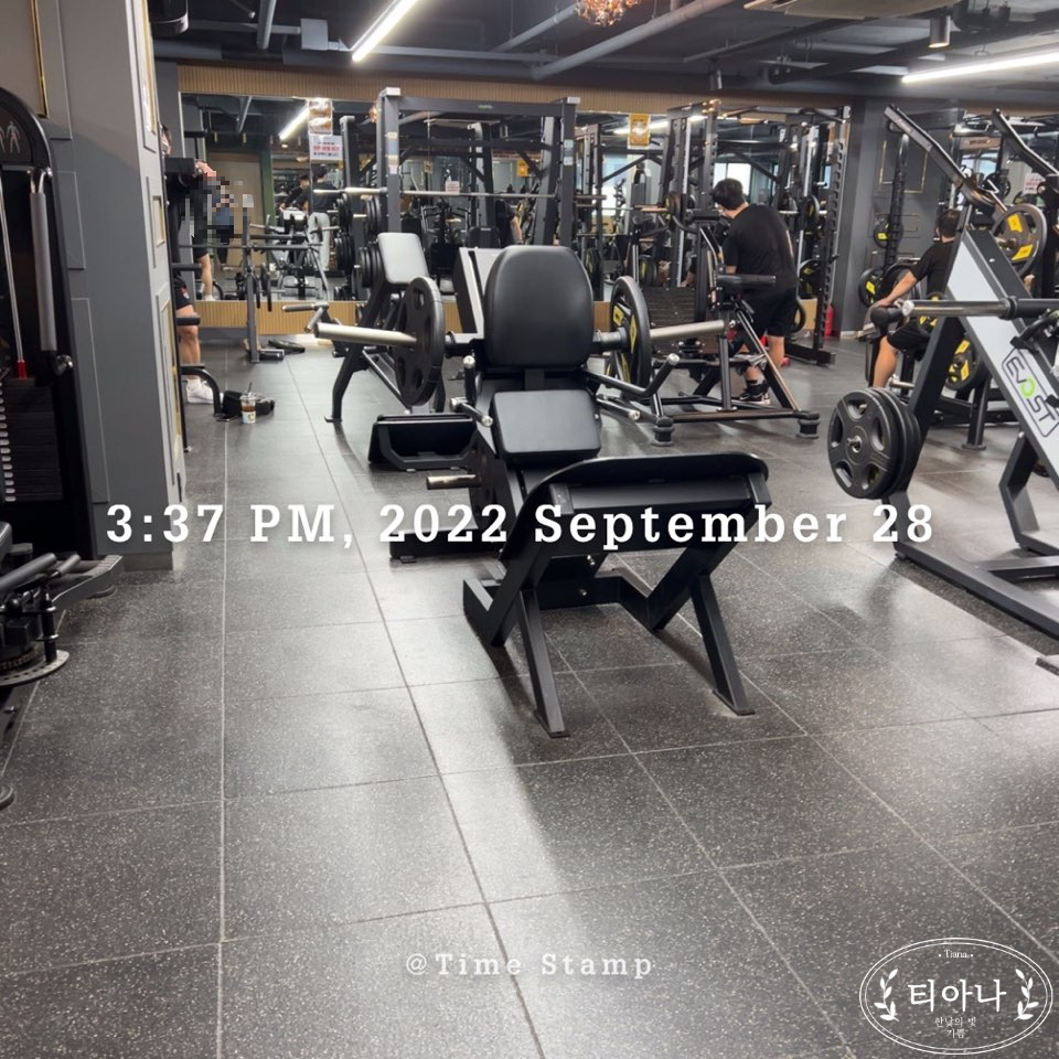 직접 1:1 개인 PT샵과 헬스장 2:1 PT를 받아보고 느낀 점
