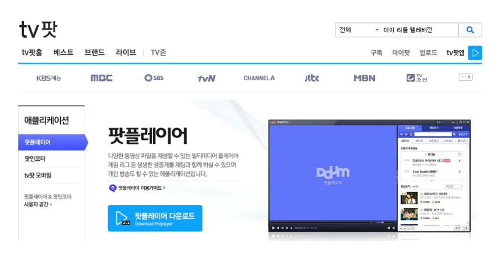 다음팟 플레이어 다운로드