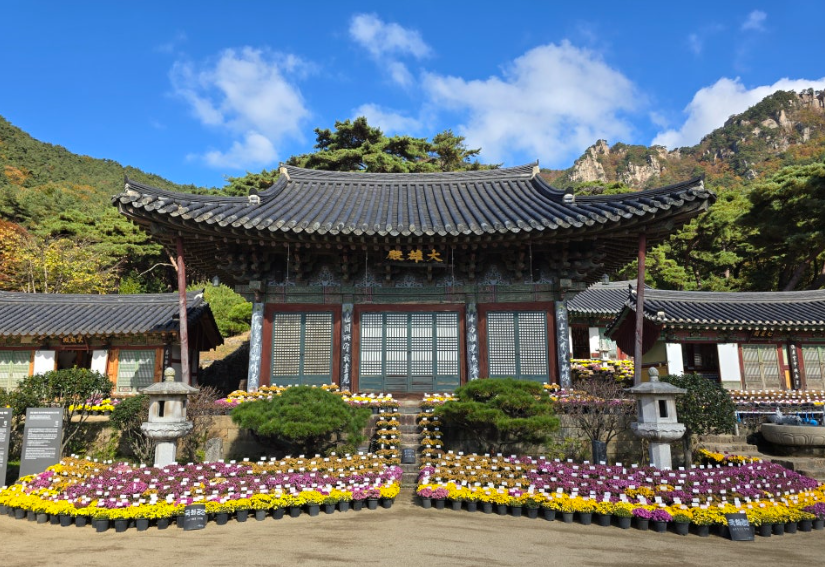 관룡사