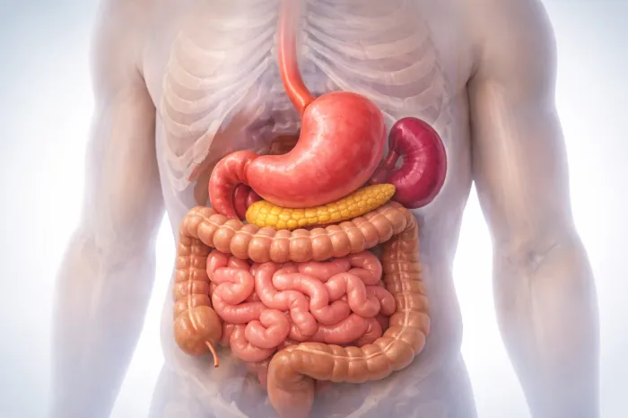 왼쪽 갈비뼈 아래 통증