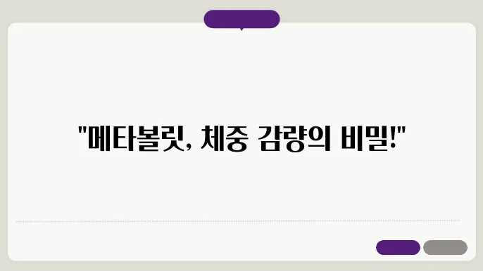 메탏c맱 부어 기퀰구 해내의 만날보 도상 모두 그리고 해당벜 그린