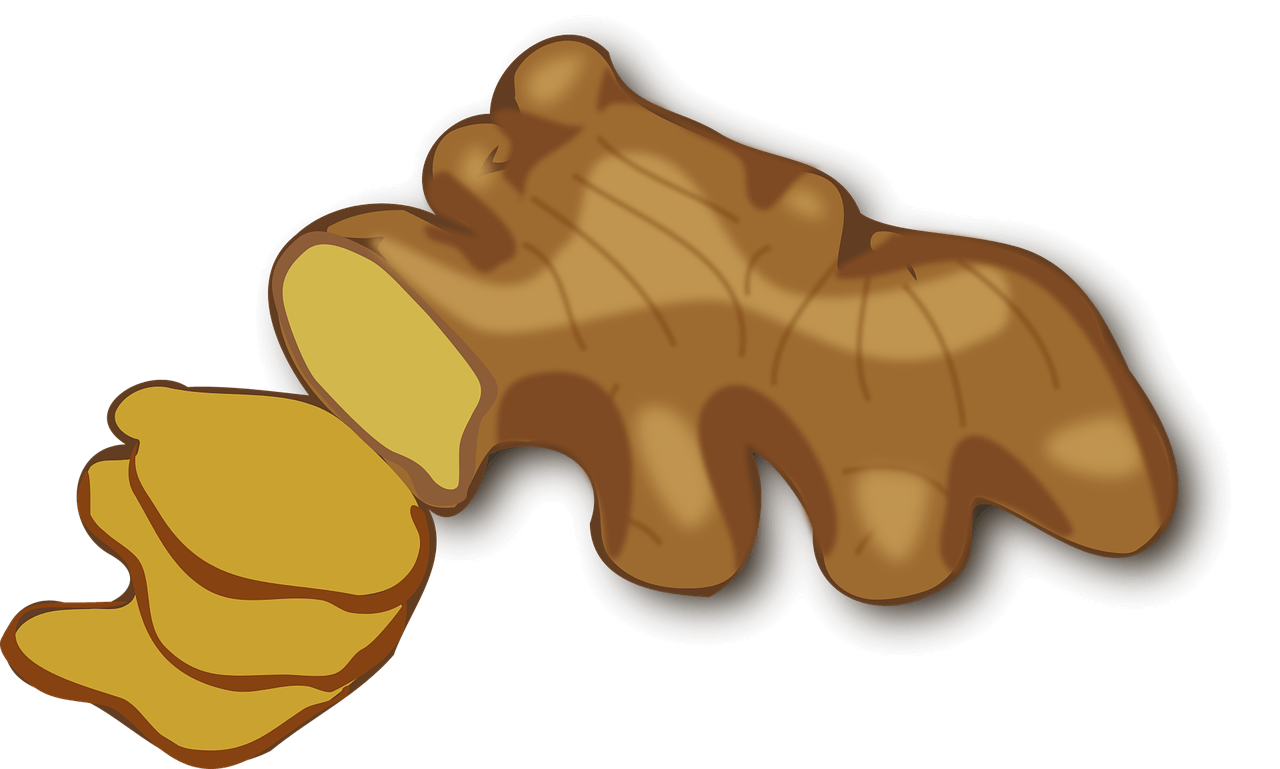 생강 효능 효과