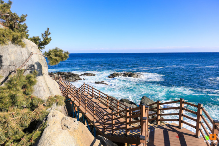 외옹치 바다향기로 사진