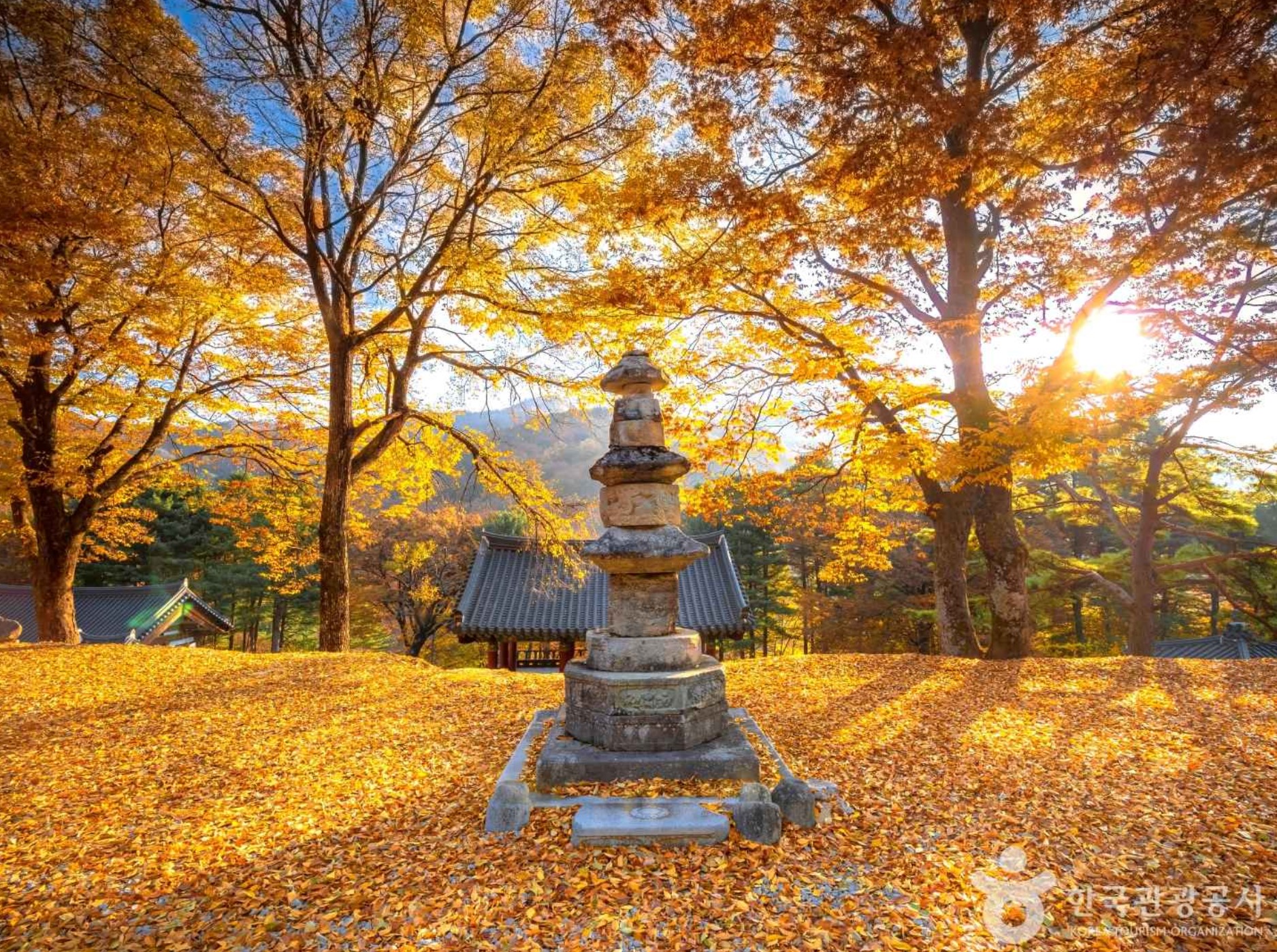 영주-가볼만한곳-비로사