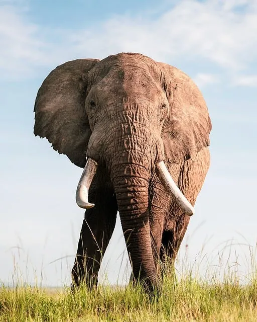 인도 여행하기 좋은 계절까지_7