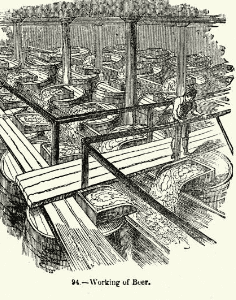 맥주효모의 효능