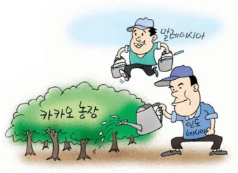 카카오 재배 온습도 관리 차광막 설치 열매 발효_11