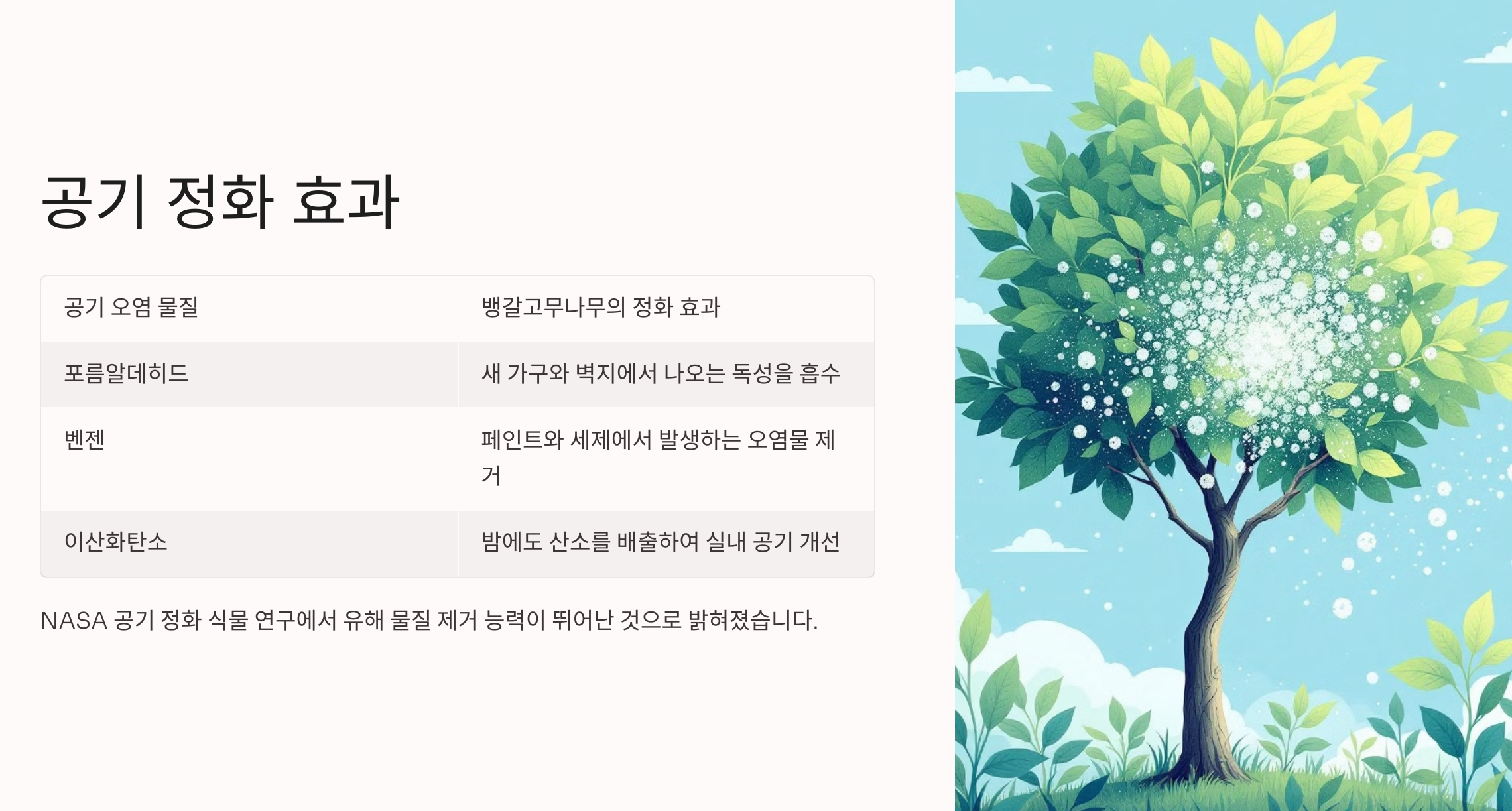 공기정화 효과-사진