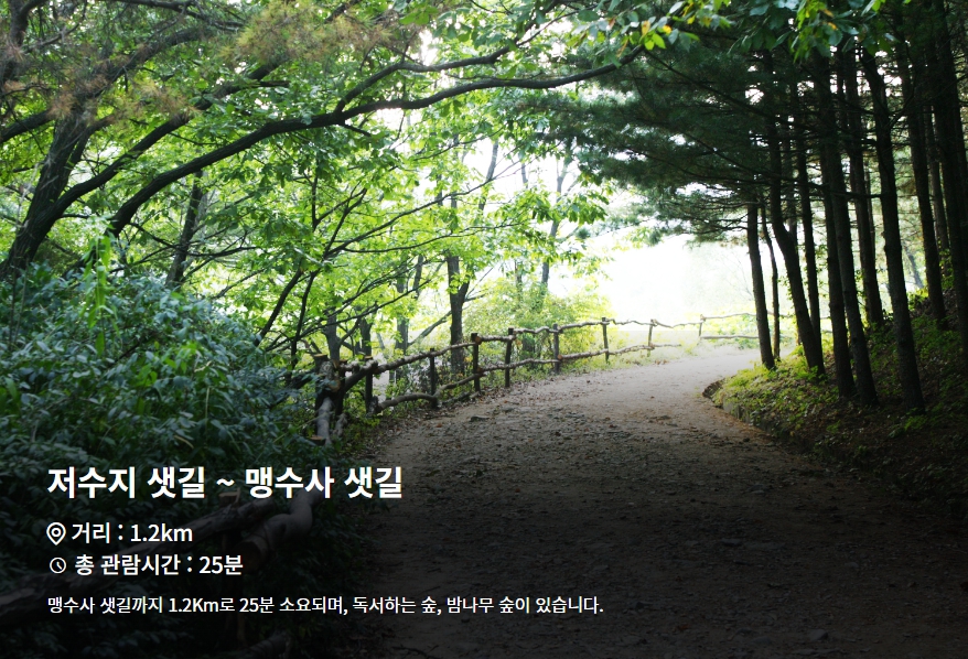 산림욕장길 3코스