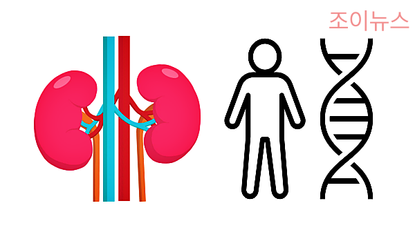 통풍의 위험 요인, 신장질환/유전