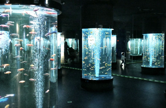 대구아쿠아리움3