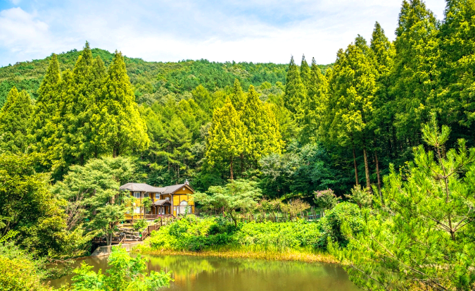 온빛자연휴양림 초록 풍경