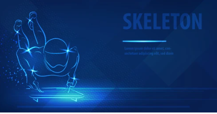 스켈레톤 경기 규칙