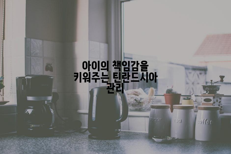 아이의 책임감을 키워주는 틴란드시아 관리