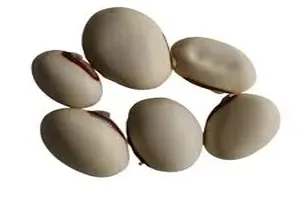작두콩