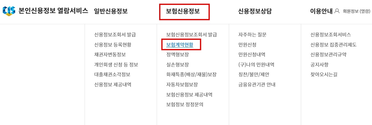 내보험다보여
