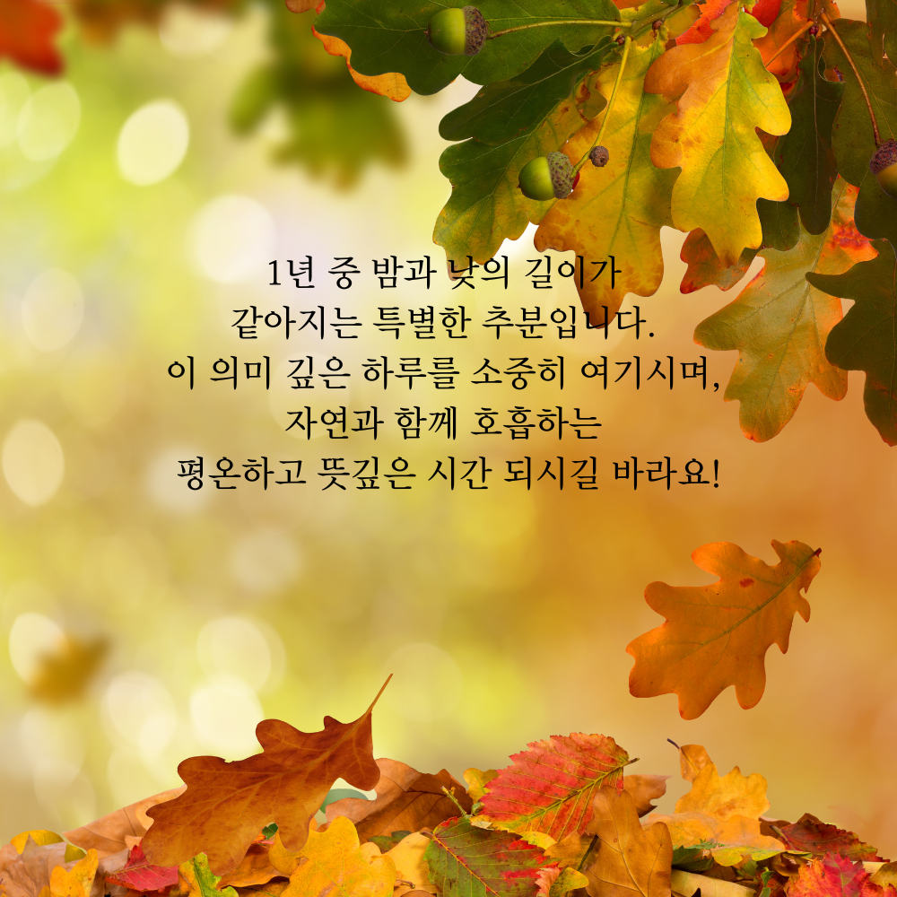 가을 인사말 추분 이미지 문구 모음집